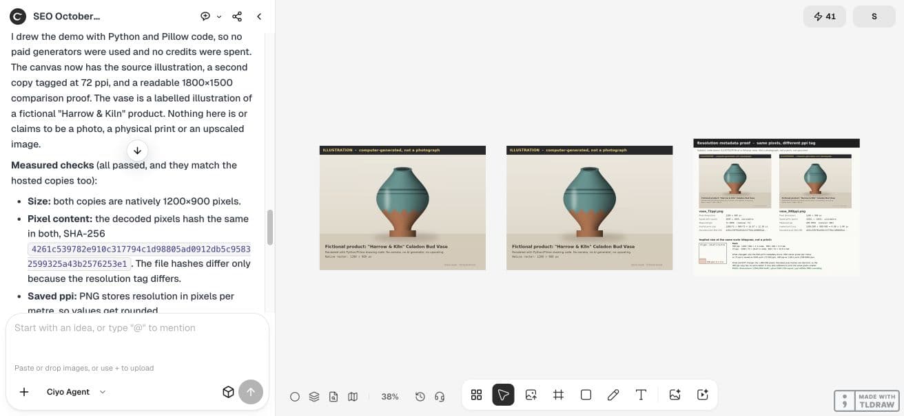 Full Ciyo viewport showing the agent verification step for the print resolution example